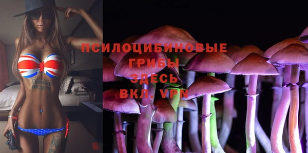 трава Рославль