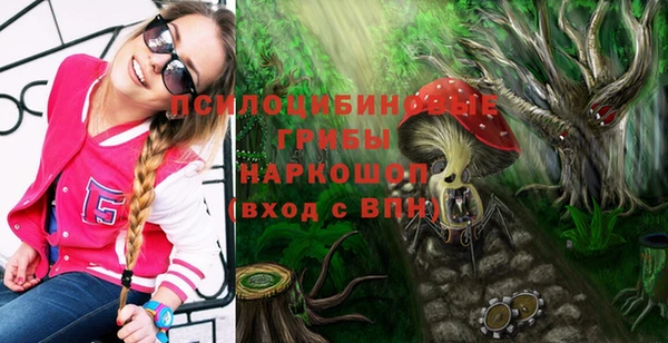 герыч Сатка