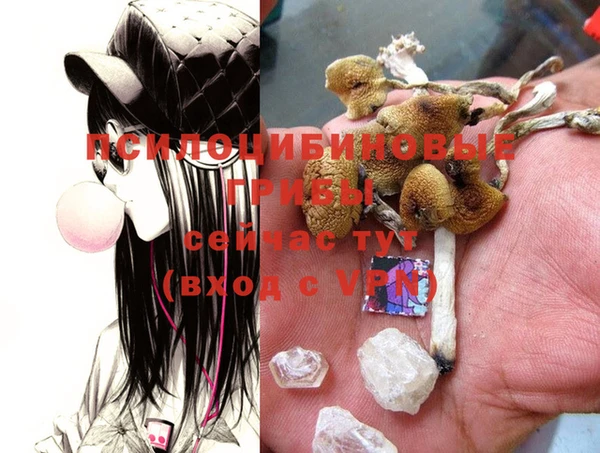не бодяженный Сафоново