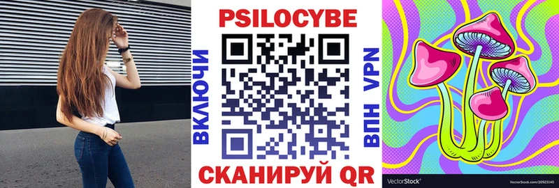 где найти наркотики  Шахунья  Псилоцибиновые грибы мухоморы 